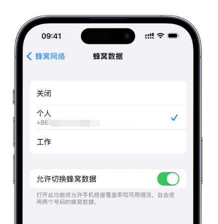 崇左苹果维修服务分享如何在iPhone上使用双卡 